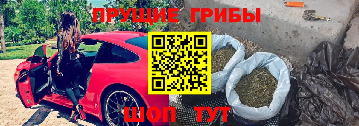 Галлюциногенные грибы Psilocybine cubensis  Галлюциногенные грибы ЛСД  Шелехов  Вход с VPN 