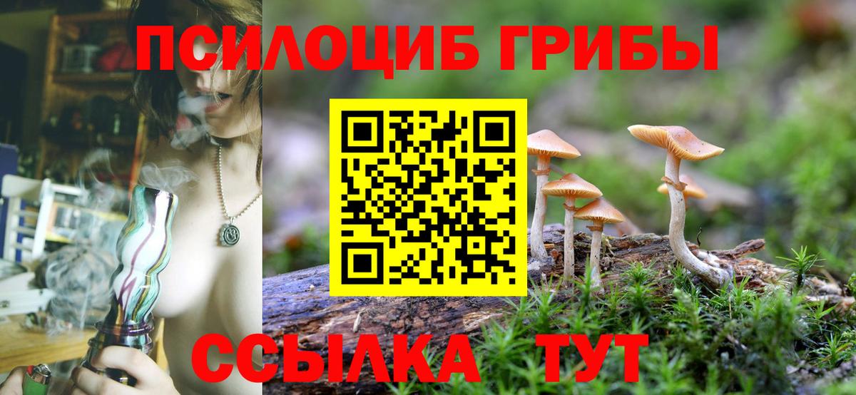 Галлюциногенные грибы Psilocybine cubensis Шелехов